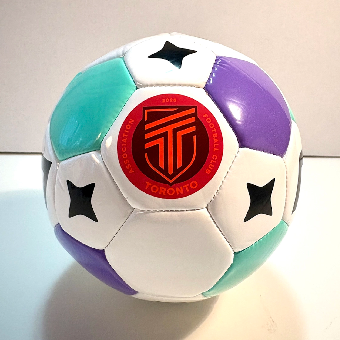 AFC Toronto X NSL Mini Ball
