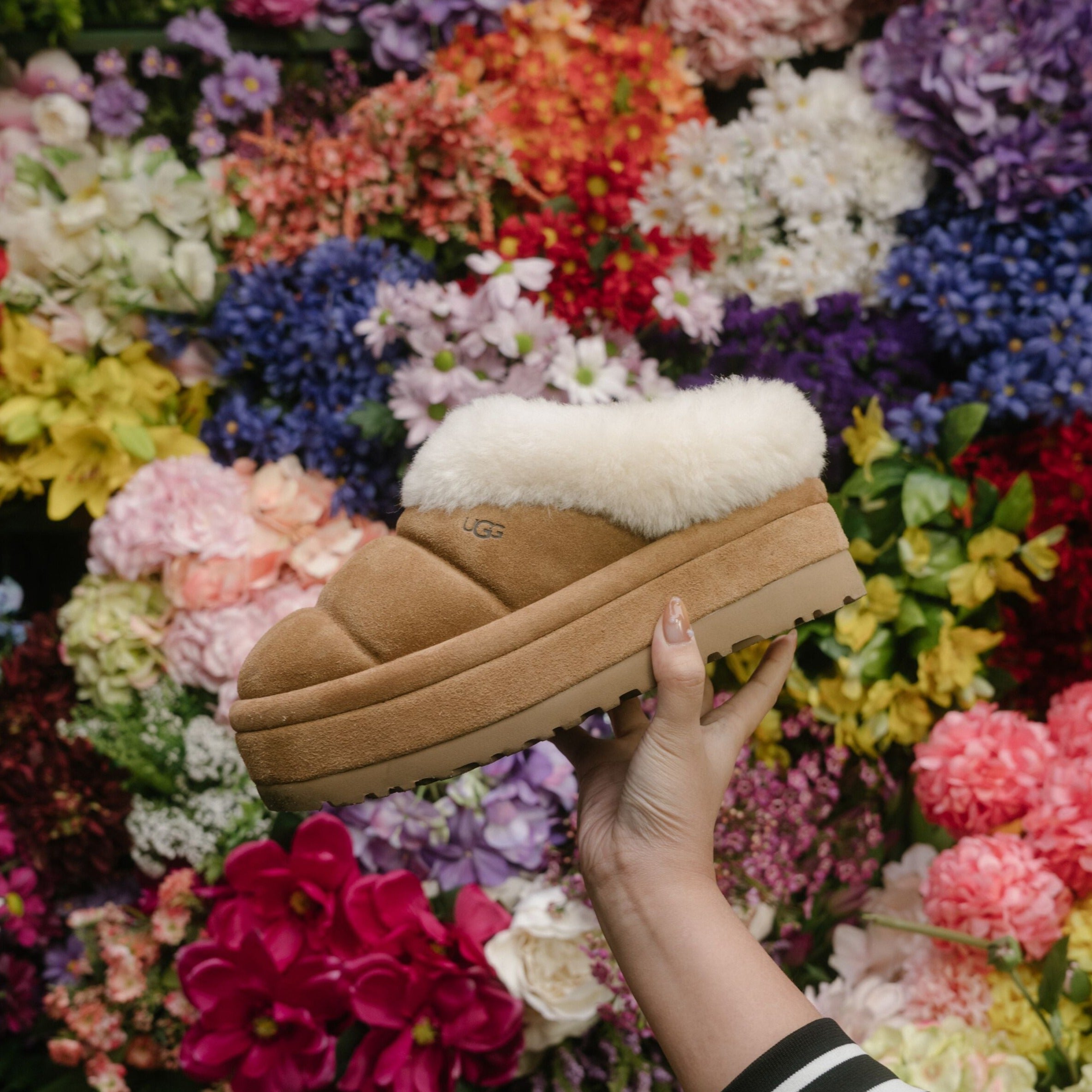 TAZZLITA SLIPPER - CHESNUT