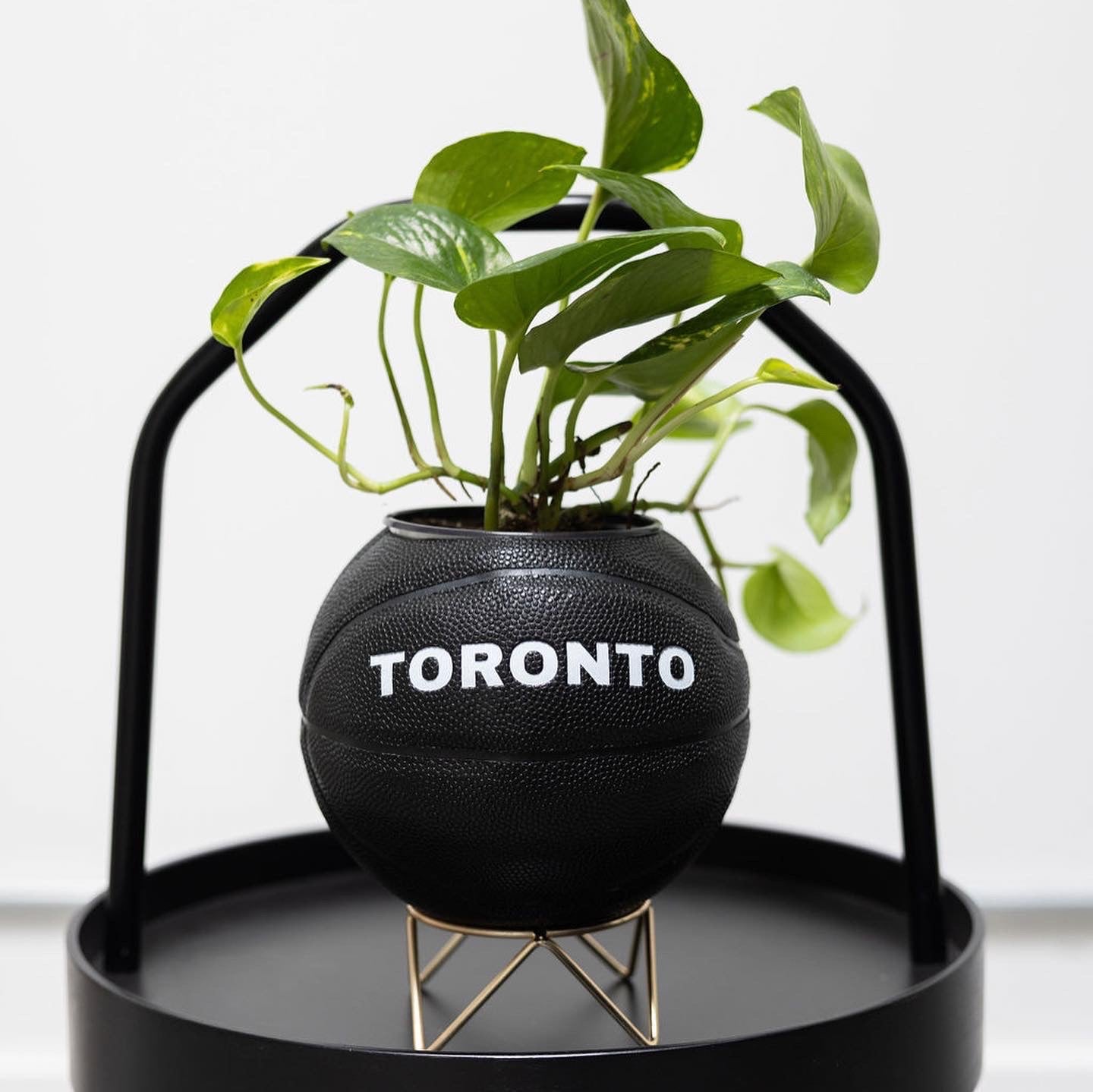 Give &amp; Grow Basketball Planter (In Store Pick Up Only)