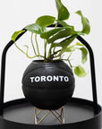 Give & Grow Basketball Planter (In Store Pick Up Only)