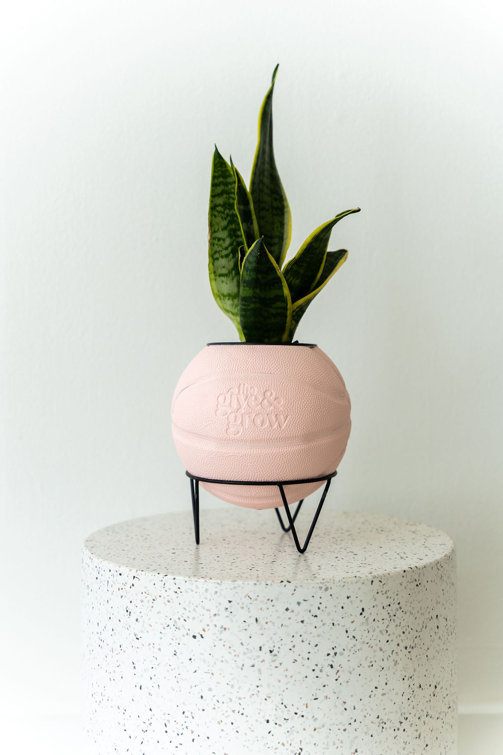 Give &amp; Grow Basketball Planter (In Store Pick Up Only)