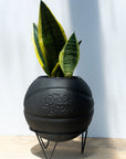Give & Grow Basketball Planter (In Store Pick Up Only)